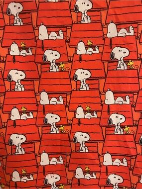 Snoopy and Woodstock on Red Doghouse Fabric 42 x 68 inches